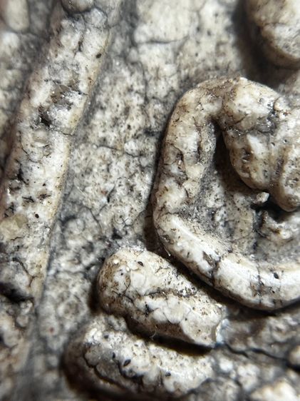 พระสมเด็จวัดระฆังพิมพ์ฐานแซมองค์นี้ รูปที่ 7