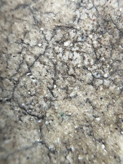 พระสมเด็จวัดระฆังพิมพ์ฐานแซมองค์นี้ รูปที่ 15