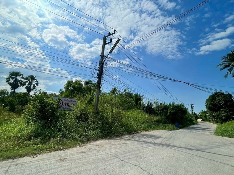 ขายที่ดินแปลงใหญ่ 16-1-40 ไร่ เมืองปทุมธานี ทำเลศักยภาพ ใกล้ถนนใหญ่ ใกล้แม่น้ำเจ้าพระยา  (LB07 – 001154) รูปที่ 4