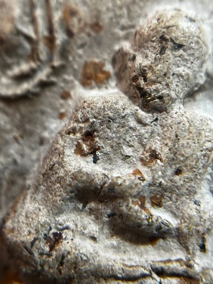 พระสมเด็จวัดระฆังพิมพ์ใหญ่เนื้อชานหมากหลังสมเด็จโต รูปที่ 12