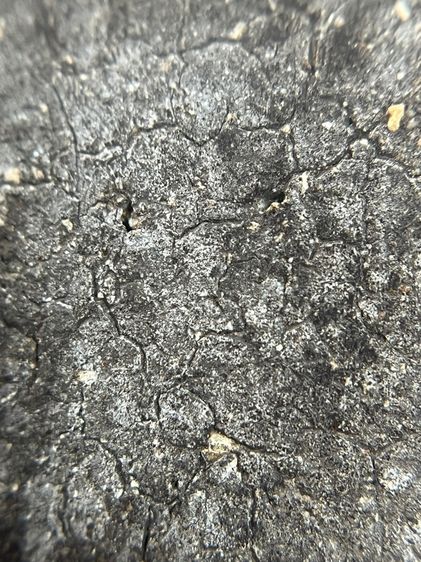 พระสมเด็จวัดระฆัง เนื้อผงดําพิมพ์ใหญ่ รูปที่ 13