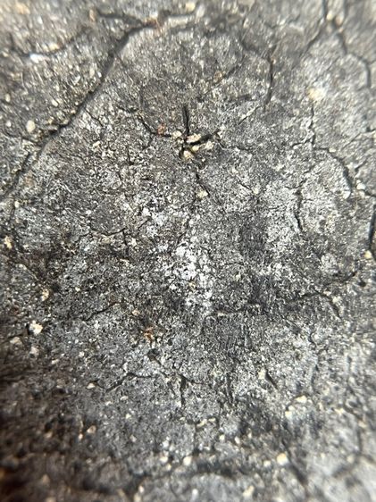 พระสมเด็จวัดระฆัง เนื้อผงดําพิมพ์ใหญ่ รูปที่ 16