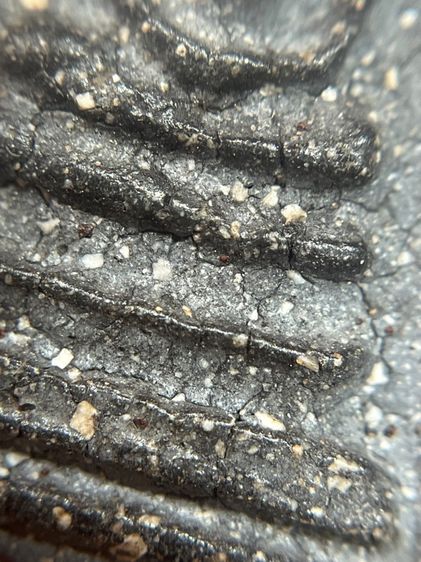 พระสมเด็จวัดระฆัง เนื้อผงดําพิมพ์ใหญ่ รูปที่ 7