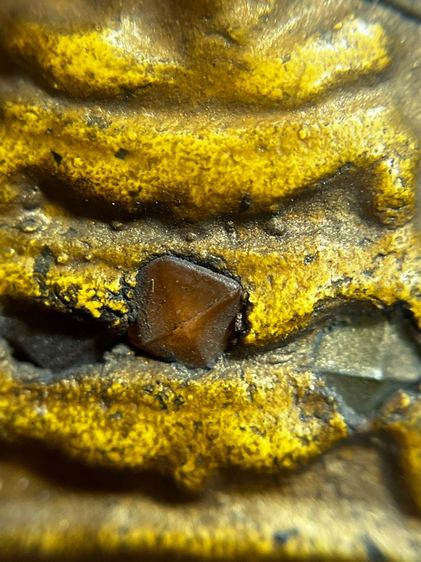 พิมพ์ขาสิงค์พุทซ้อนหลังเทพกวนอูโรยเม็ดพระธาตุ รูปที่ 6