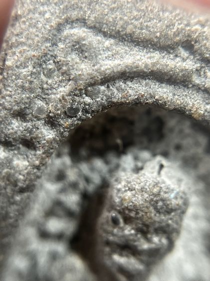 หลวงปู่ทวดพิมพ์สี่เหลี่ยมหลังเจ้าสัว รูปที่ 10