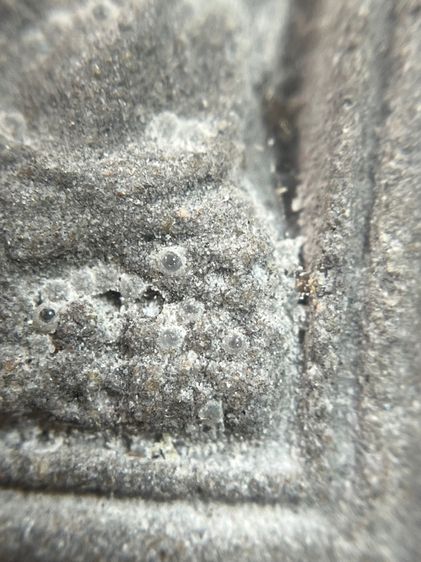 หลวงปู่ทวดพิมพ์สี่เหลี่ยมหลังเจ้าสัว รูปที่ 6