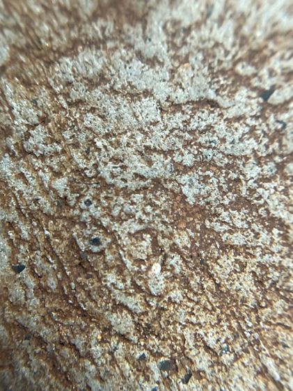 พระสมเด็จพิมพ์ปกโพธิ์ใหญ่เนื้อใบลาน รูปที่ 13