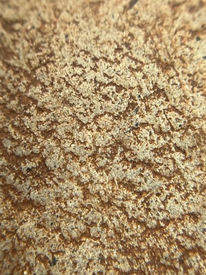 พระสมเด็จพิมพ์ปกโพธิ์ใหญ่เนื้อใบลาน รูปที่ 14