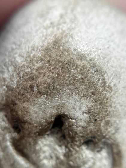 พระสมเด็จวัดพลับหลังครุฑ พิมพ์ตุ๊กตาเล็ก รูปที่ 12