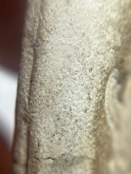 พระสมเด็จวัดพลับหลังครุฑ พิมพ์ตุ๊กตาเล็ก รูปที่ 13