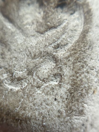 พระสมเด็จวัดพลับหลังครุฑ พิมพ์ตุ๊กตาเล็ก รูปที่ 10