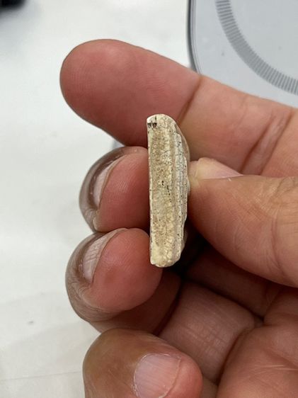 สมเด็จไม่ทราบที่ รูปที่ 6