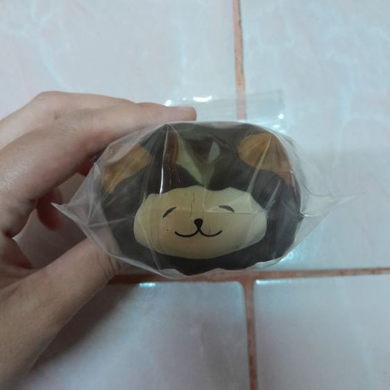 สกุชชี่มือ2มีตําหนิ รูปที่ 8