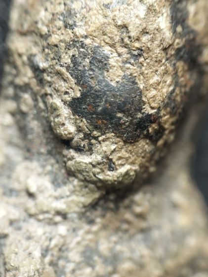 พระร่วงเนื้อตะกั่วสนิมแดงครับ รูปที่ 4