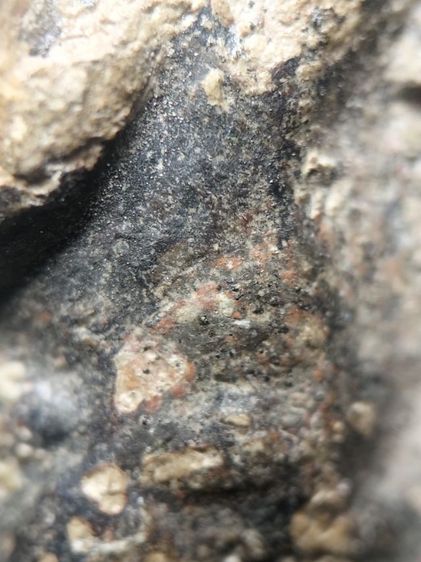 พระร่วงเนื้อตะกั่วสนิมแดงครับ รูปที่ 6