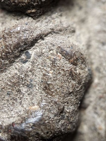 หลวงปู่ทวดเนื้อว่านครับ รูปที่ 15