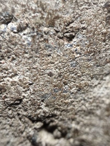 หลวงปู่ทวดเนื้อว่านครับ รูปที่ 17