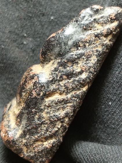 นางพญาลงรักครับ รูปที่ 10