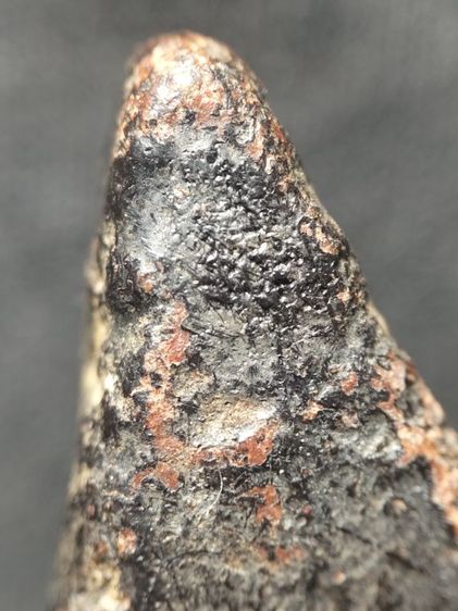 นางพญาลงรักครับ รูปที่ 14