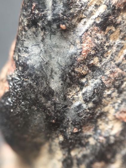 นางพญาลงรักครับ รูปที่ 15