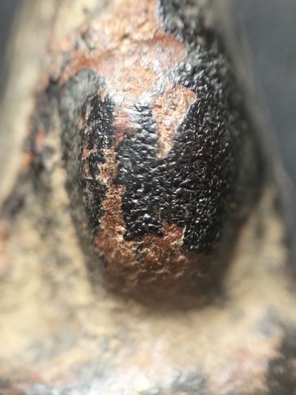 นางพญาลงรักครับ รูปที่ 5