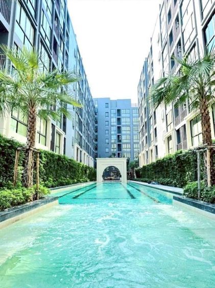 ตกแต่งครบ ไม่อนุญาต คอนโดผ่อนตรงเจ้าของ Cerocco ซีรอคโค by CMC บางนา 36 รูปที่ 3