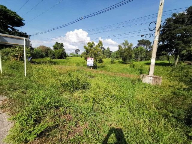 ขายด่วน ที่นา รูปที่ 2