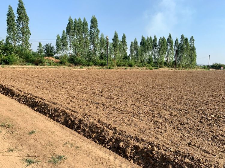 ที่ดินทำเลทองผืนใหญ่16ไร่ วังศาลา ท่าม่วง แปลงสวย ทำเลดี แหล่งชุมชน ใกล้ทางด่วนM81 จากกรุงเทพเพียง1ชม. คมนาคมสะดวก