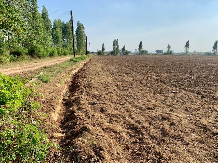 ที่ดินทำเลทองผืนใหญ่16ไร่ วังศาลา ท่าม่วง แปลงสวย ทำเลดี แหล่งชุมชน ใกล้ทางด่วนM81 จากกรุงเทพเพียง1ชม. คมนาคมสะดวก รูปที่ 4