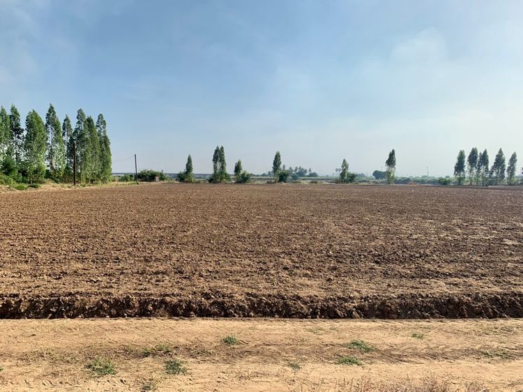 ที่ดินทำเลทองผืนใหญ่16ไร่ วังศาลา ท่าม่วง แปลงสวย ทำเลดี แหล่งชุมชน ใกล้ทางด่วนM81 จากกรุงเทพเพียง1ชม. คมนาคมสะดวก รูปที่ 3