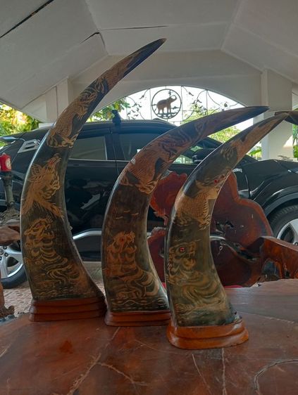 3ชุด6ชิ้น เขาแท้แกะลายเสือมังกรฐานไม้สักเก่าโบราณสภาพเยี่ยม รูปที่ 14