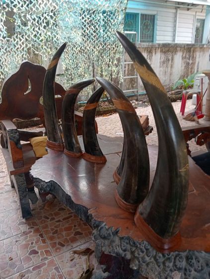 3ชุด6ชิ้น เขาแท้แกะลายเสือมังกรฐานไม้สักเก่าโบราณสภาพเยี่ยม รูปที่ 2