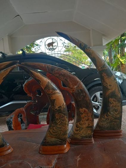 3ชุด6ชิ้น เขาแท้แกะลายเสือมังกรฐานไม้สักเก่าโบราณสภาพเยี่ยม รูปที่ 13