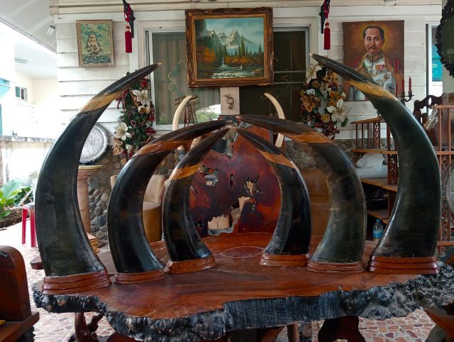 3ชุด6ชิ้น เขาแท้แกะลายเสือมังกรฐานไม้สักเก่าโบราณสภาพเยี่ยม รูปที่ 9