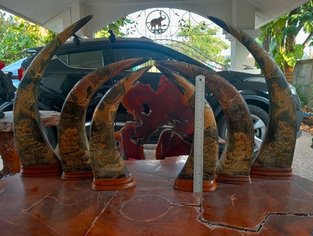 3ชุด6ชิ้น เขาแท้แกะลายเสือมังกรฐานไม้สักเก่าโบราณสภาพเยี่ยม รูปที่ 8