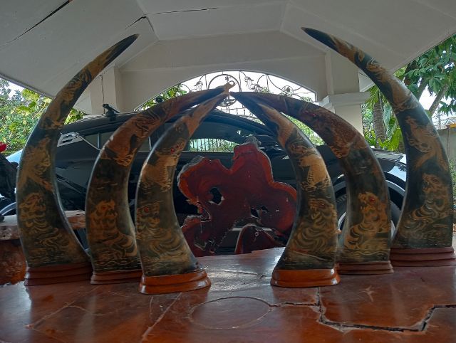 3ชุด6ชิ้น เขาแท้แกะลายเสือมังกรฐานไม้สักเก่าโบราณสภาพเยี่ยม รูปที่ 12