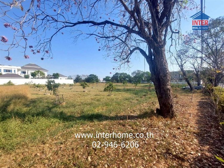 ที่ดินเปล่า 395 ตร.ว. ที่ดิน ใกล้สนามกอล์ฟกรีนวัลเล่ย์ คันทรีคลับ ถนนบางนา-ตราด กม.15 บางพลี สมุทรปราการ รูปที่ 4