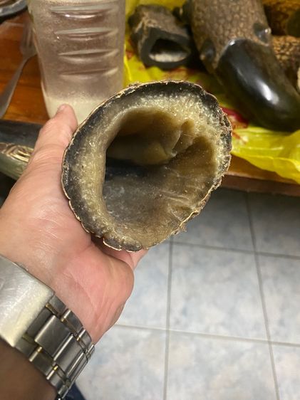 กระติกน้ำงงแท้หอยมุกแท้ รูปที่ 14