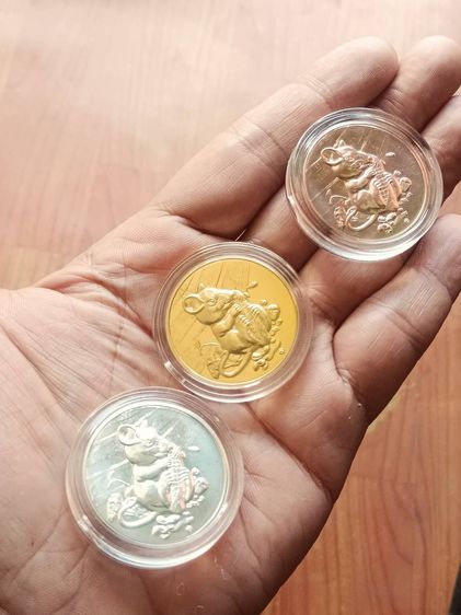 เหรียญ ปฎิทิน ปีเถาะ 2563 รูปที่ 3