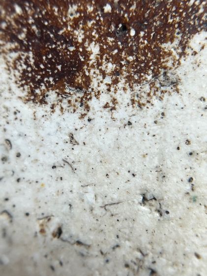 พระสมเด็จเกศไชโย7ชั้น รูปที่ 13