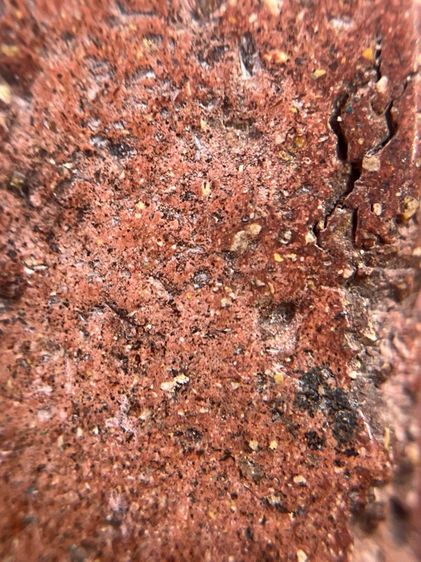 พระสมเด็จพิมพ์ใหญ่เนื้อสีแดงโรยผงตะไบทอง รูปที่ 10