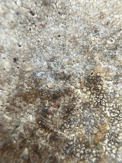 พระสมเด็จพิมพ์ใหญ่เกศสะบัด รูปที่ 13