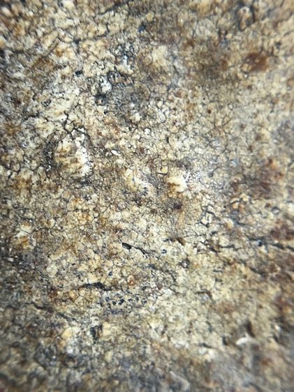 พระสมเด็จพิมพ์ใหญ่ขนมเปี๊ยะ รูปที่ 12