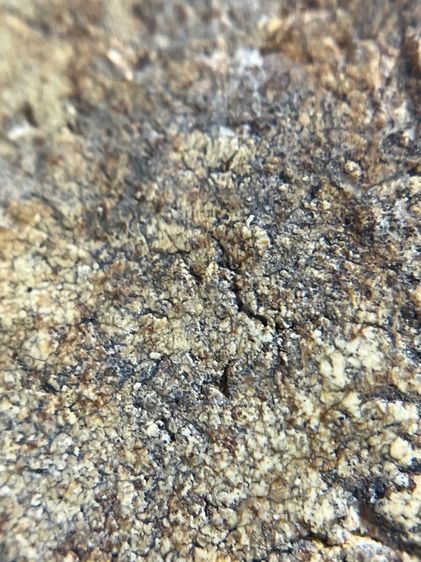 พระสมเด็จพิมพ์ใหญ่ขนมเปี๊ยะ รูปที่ 15