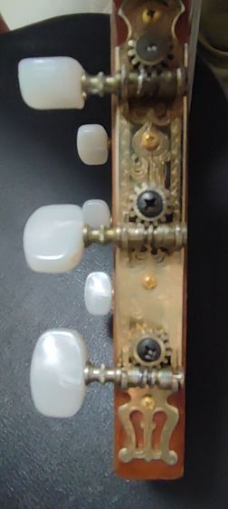 กีต้าร์คอนเสิร์ต shinano sc20 รูปที่ 17