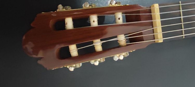 กีต้าร์คอนเสิร์ต shinano sc20 รูปที่ 18