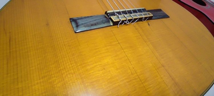 กีต้าร์คอนเสิร์ต shinano sc20 รูปที่ 7