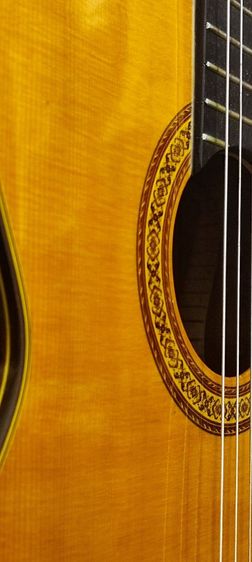 กีต้าร์คอนเสิร์ต shinano sc20 รูปที่ 5