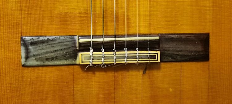 กีต้าร์คอนเสิร์ต shinano sc20 รูปที่ 10