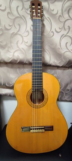 กีต้าร์คอนเสิร์ต shinano sc20